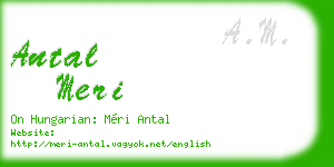 antal meri business card