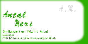 antal meri business card